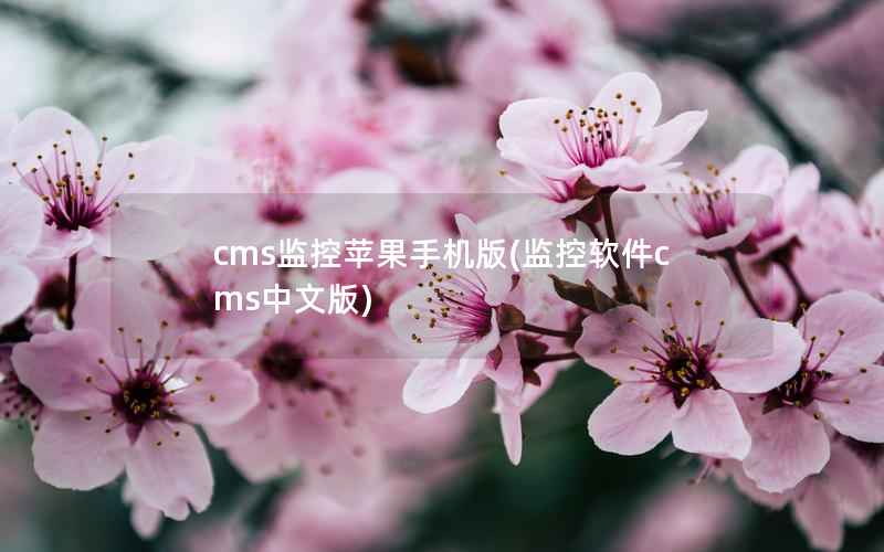 cms监控苹果手机版，监控软件cms中文版