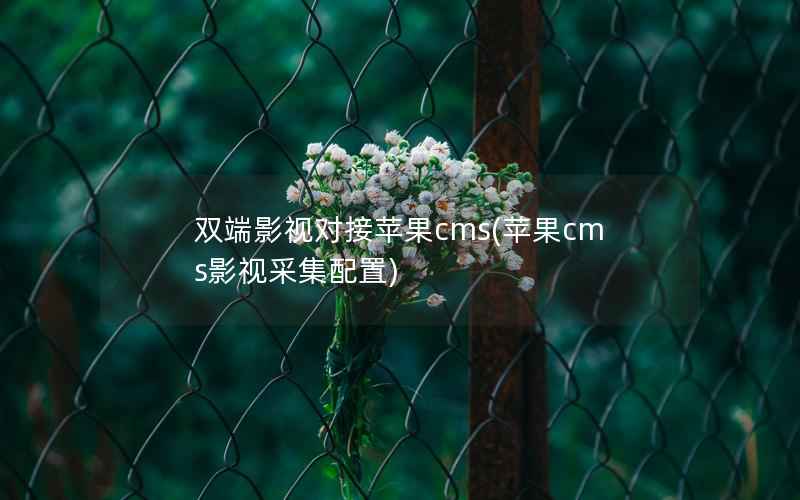 双端影视对接苹果CMS，苹果CMS影视采集配置
