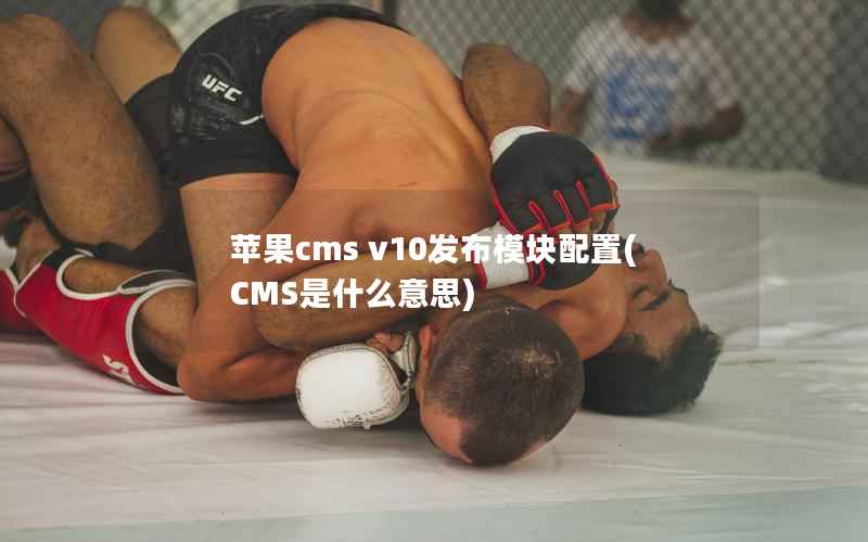 苹果CMS v10发布模块配置，CMS是什么意思