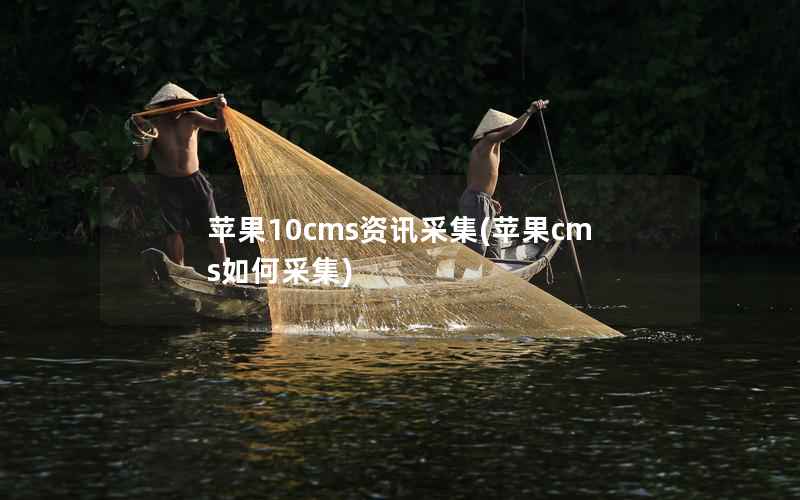 苹果10cms资讯采集，苹果CMS如何采集