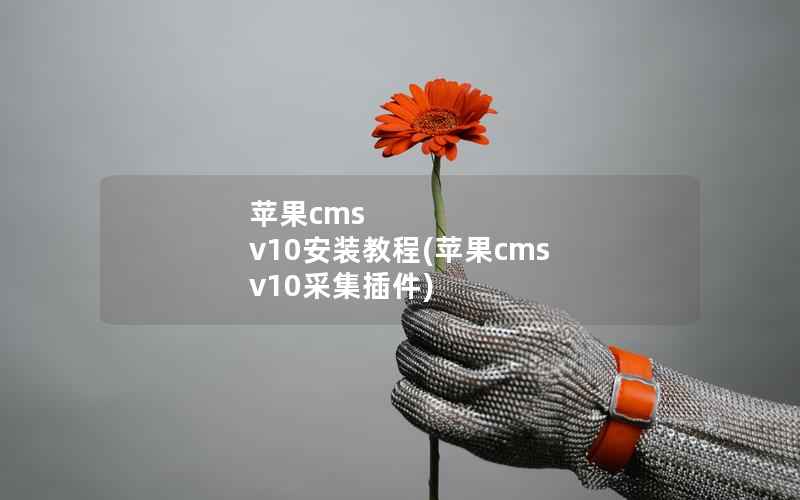 苹果CMS v10安装教程，苹果CMS v10采集插件