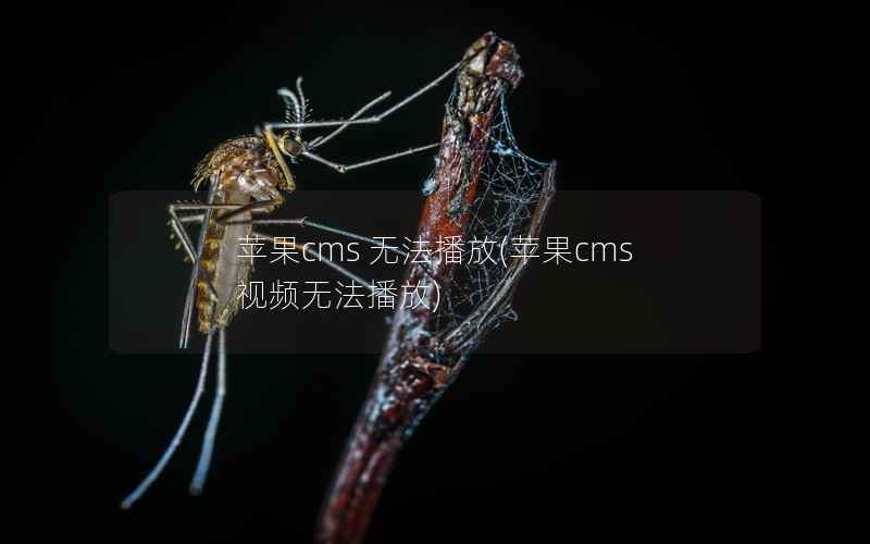 苹果CMS 无法播放，苹果CMS视频无法播放