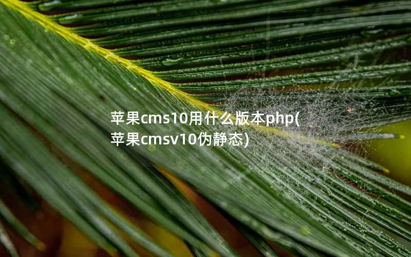 苹果CMS10用什么版本php，苹果CMSv10伪静态
