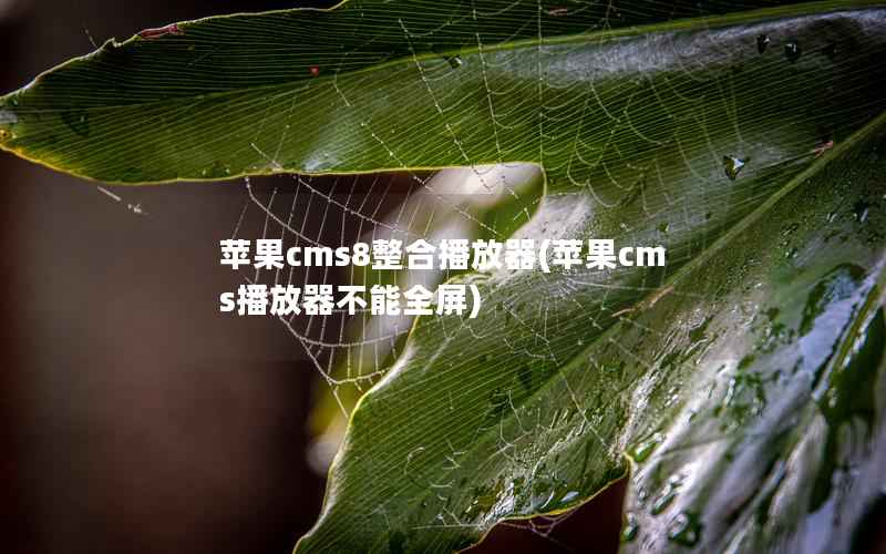 苹果CMS8整合播放器，苹果CMS播放器不能全屏