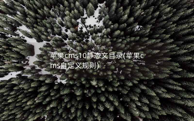 苹果CMS10静态文目录，苹果CMS自定义规则
