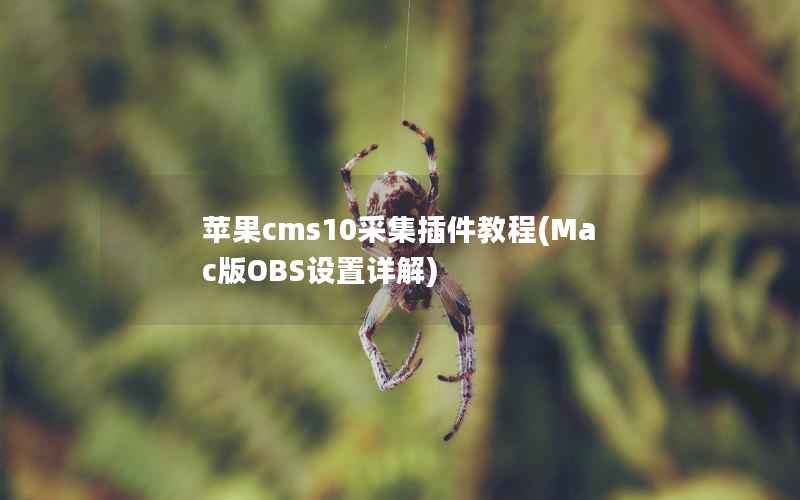 苹果CMS10采集插件教程，Mac版OBS设置详解