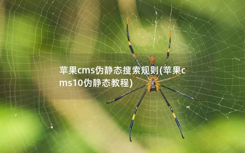 苹果CMS伪静态搜索规则，苹果CMS10伪静态教程