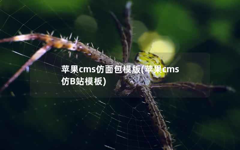苹果CMS仿面包模版，苹果CMS仿B站模板