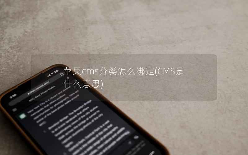 苹果CMS分类怎么绑定，CMS是什么意思