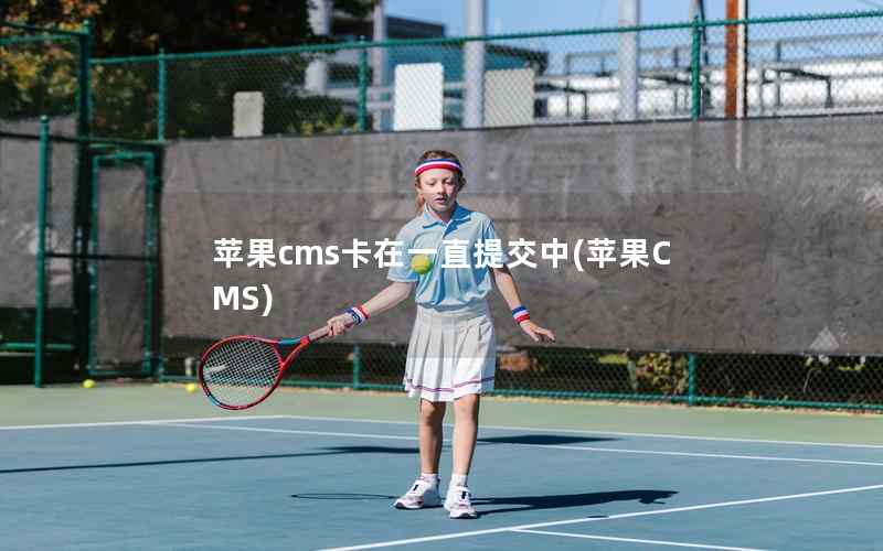 苹果CMS卡在一直提交中，苹果CMS