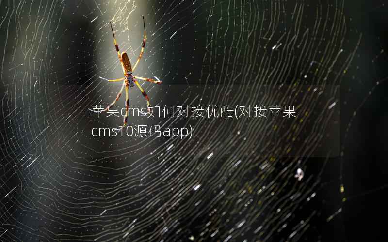 苹果CMS如何对接优酷，对接苹果CMS10源码app