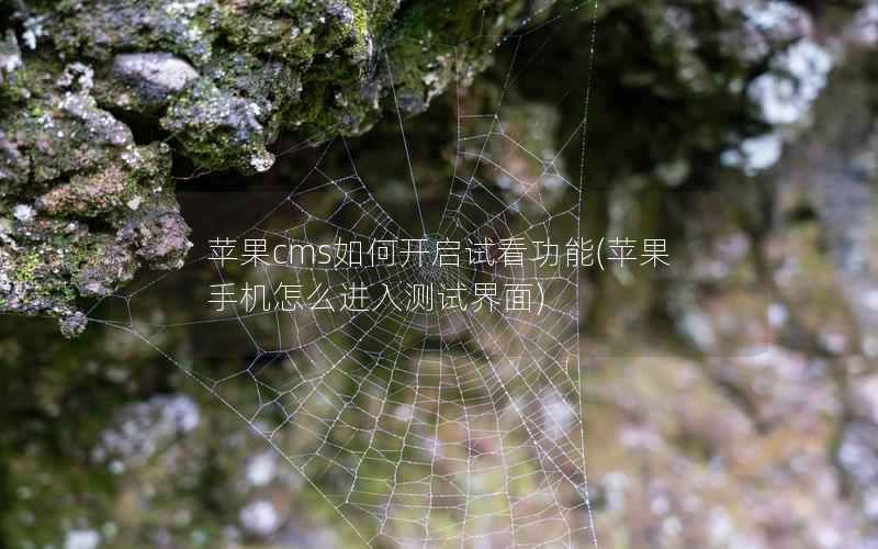 苹果CMS如何开启试看功能，苹果手机怎么进入测试界面