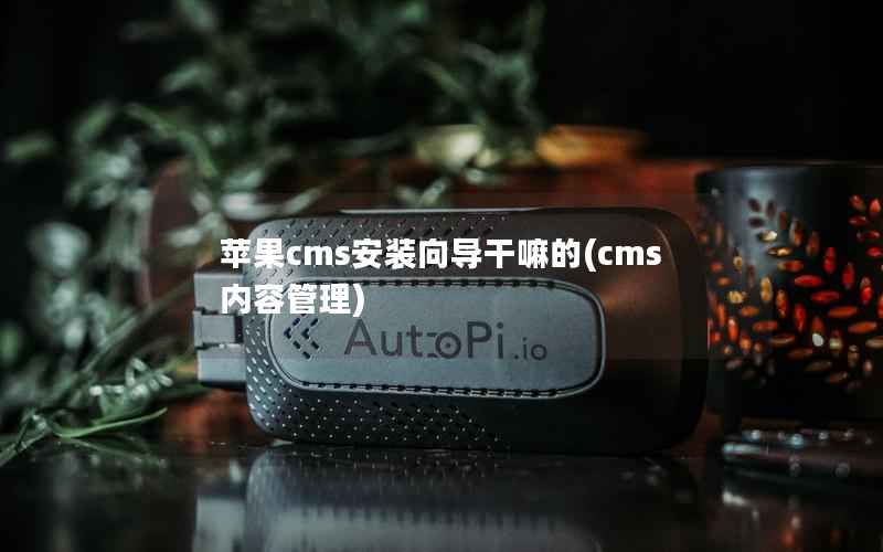 苹果CMS安装向导干嘛的，cms内容管理