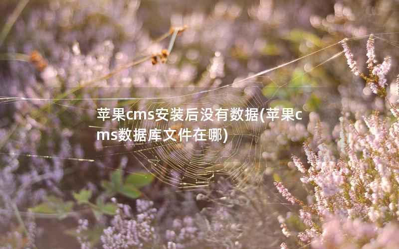 苹果CMS安装后没有数据，苹果CMS数据库文件在哪