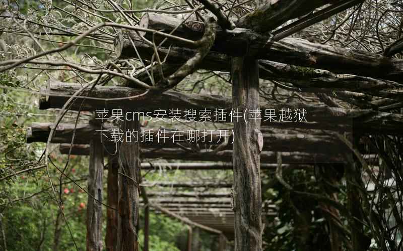 苹果CMS安装搜索插件，苹果越狱下载的插件在哪打开