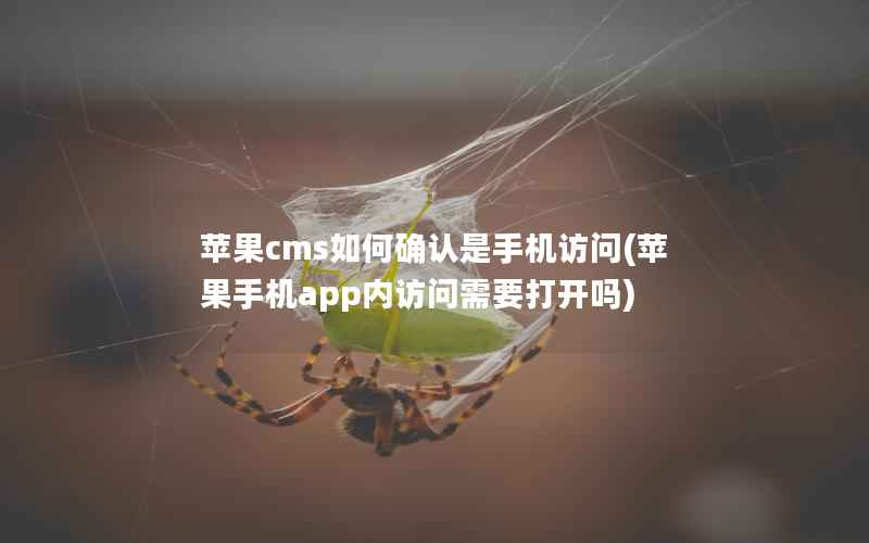 苹果CMS如何确认是手机访问，苹果手机app内访问需要打开吗