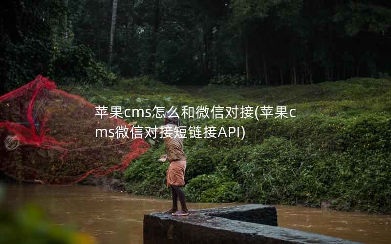 苹果CMS怎么和微信对接，苹果CMS微信对接短链接API
