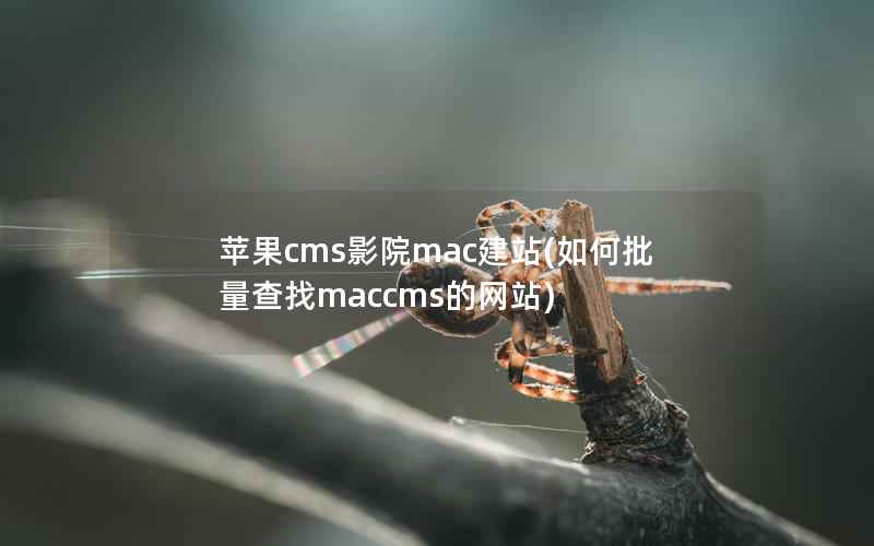 苹果CMS影院mac建站，如何批量查找maccms的网站