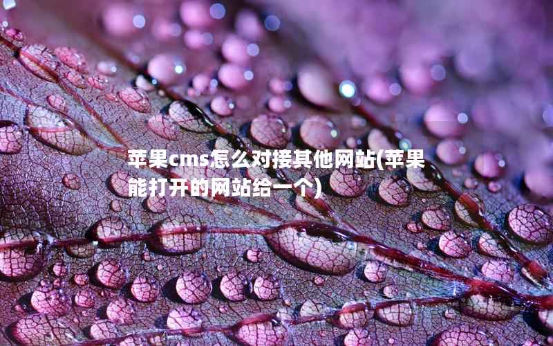 苹果CMS怎么对接其他网站，苹果能打开的网站给一个