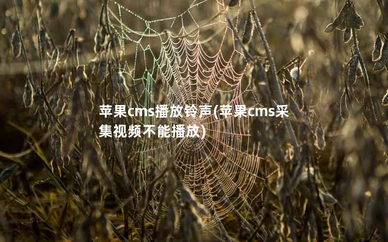 苹果CMS播放铃声，苹果CMS采集视频不能播放