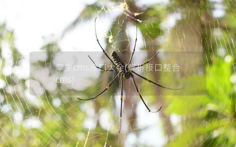 苹果CMS接口大全，解析接口整合cms