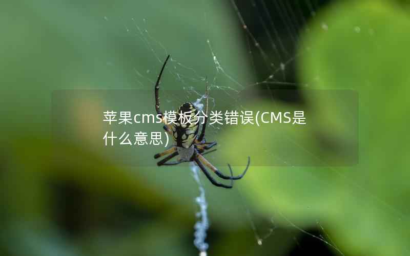 苹果CMS模板分类错误，CMS是什么意思