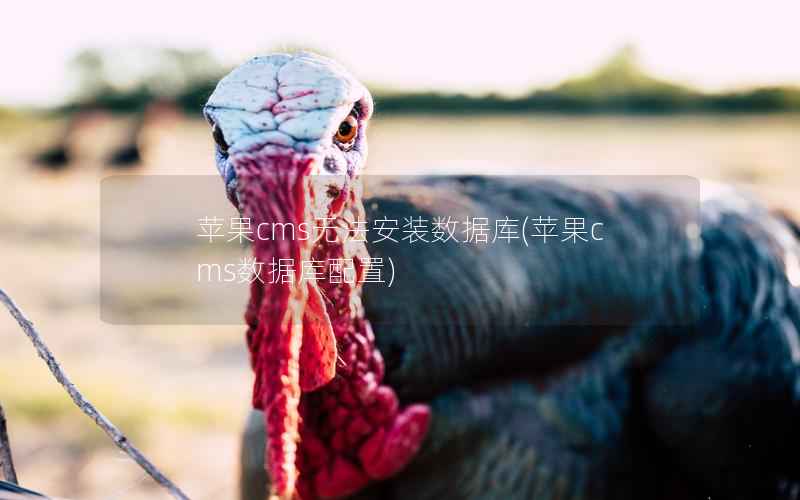 苹果CMS无法安装数据库，苹果CMS数据库配置