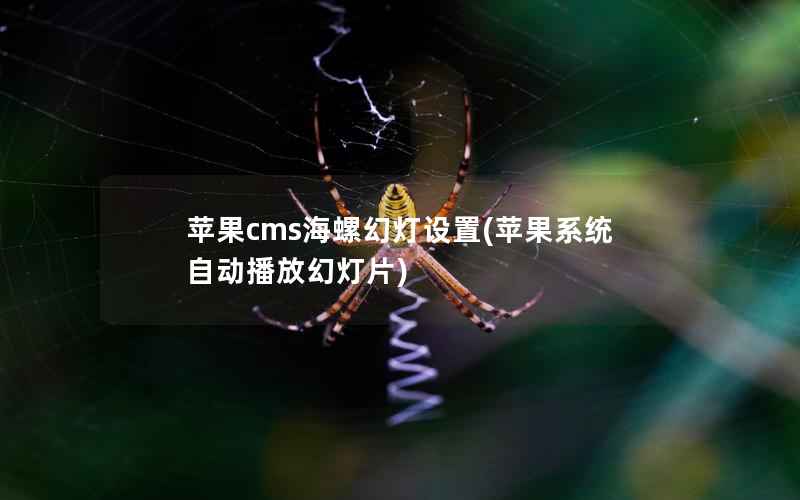 苹果CMS海螺幻灯设置，苹果系统自动播放幻灯片