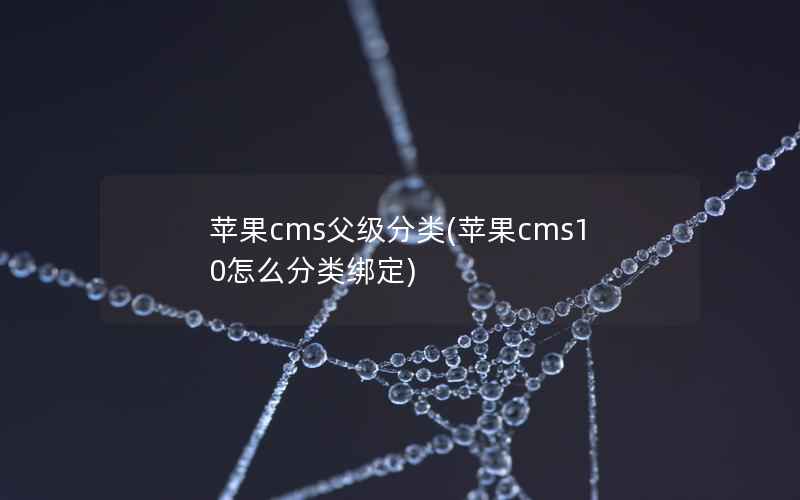 苹果CMS父级分类，苹果CMS10怎么分类绑定