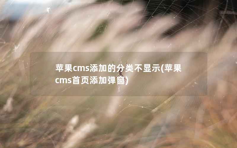 苹果CMS添加的分类不显示，苹果CMS首页添加弹窗