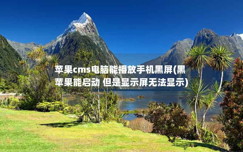 苹果CMS电脑能播放手机黑屏，黑苹果能启动 但是显示屏无法显示