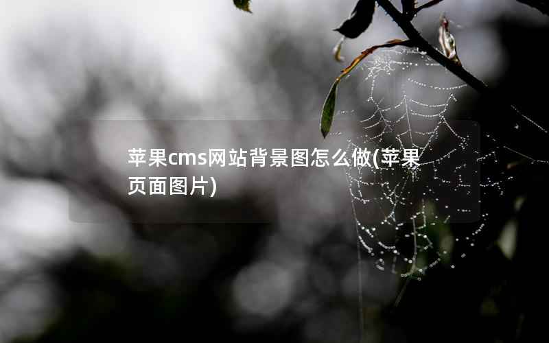 苹果CMS网站背景图怎么做，苹果页面图片