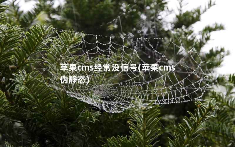 苹果CMS经常没信号，苹果CMS伪静态