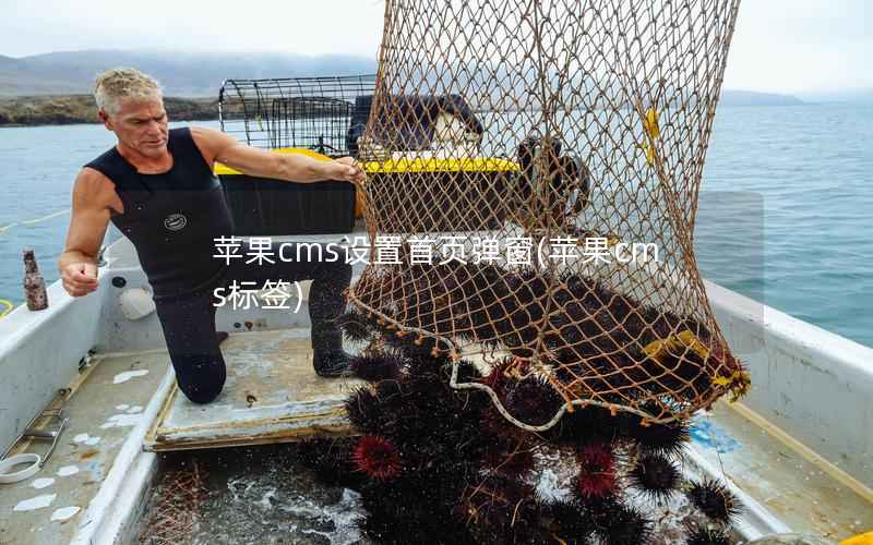 苹果CMS设置首页弹窗，苹果CMS标签