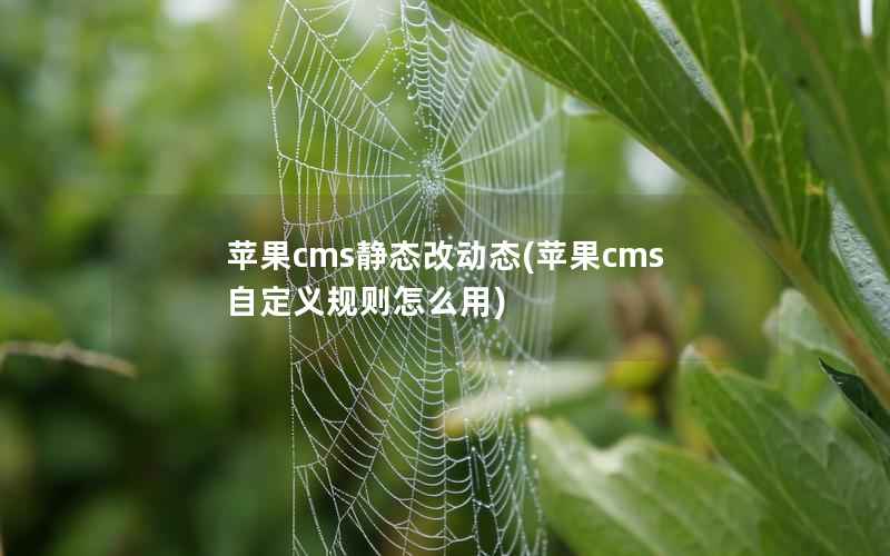 苹果CMS静态改动态，苹果CMS自定义规则怎么用