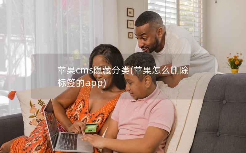 苹果CMS隐藏分类，苹果怎么删除标签的app