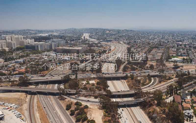 安徽网站建设开发维护费用，搭建一个网站平台需要多少钱