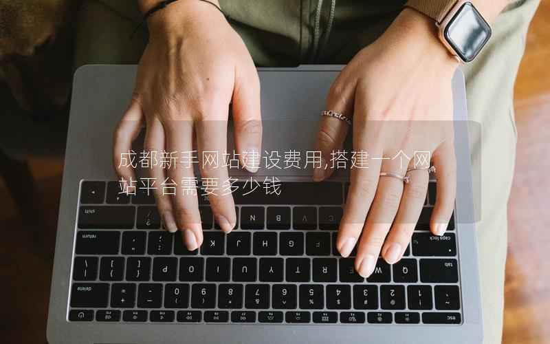 成都新手网站建设费用,搭建一个网站平台需要多少钱