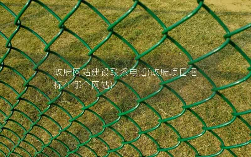网站建设联系电话，项目招标在哪个网站