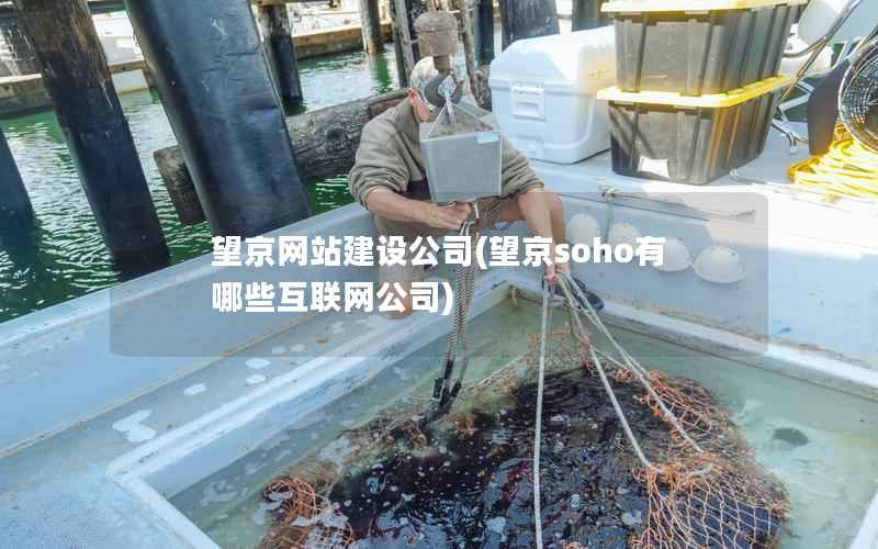 望京网站建设公司，望京soho有哪些互联网公司