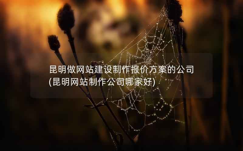昆明做网站建设制作报价方案的公司，昆明网站制作公司哪家好