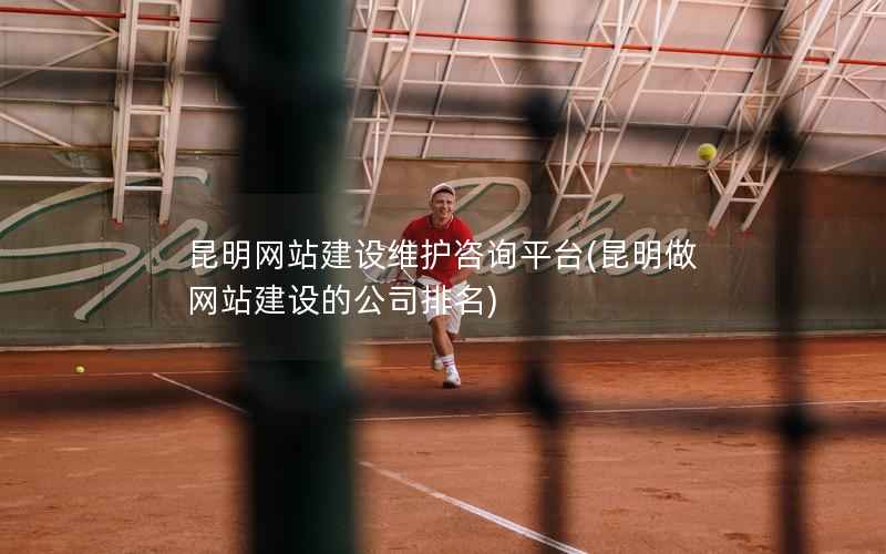 昆明网站建设维护咨询平台，昆明做网站建设的公司排名