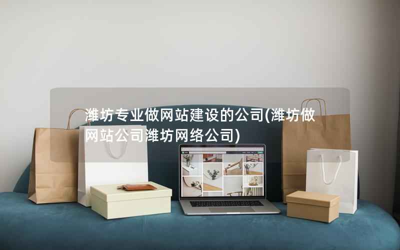 潍坊专业做网站建设的公司，潍坊做网站公司潍坊网络公司