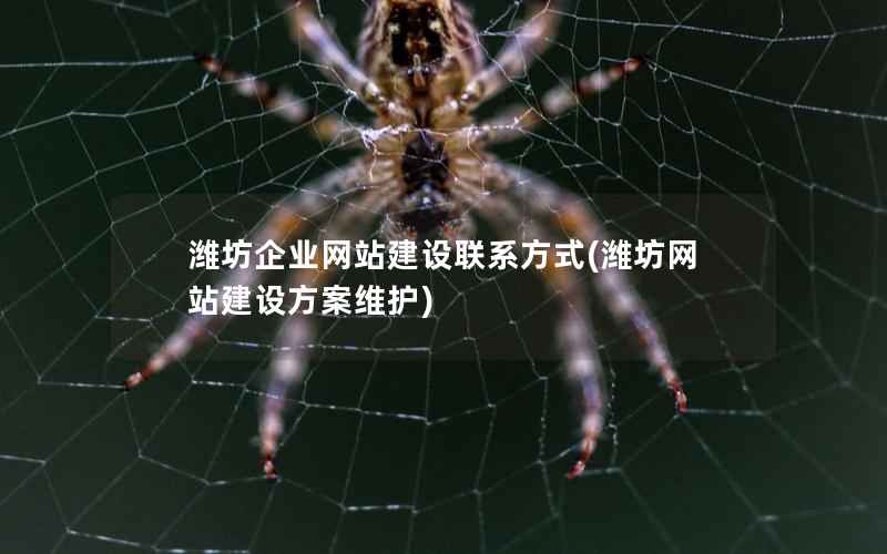 潍坊企业网站建设联系方式，潍坊网站建设方案维护