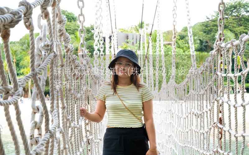 珠海网站建设知识，珠海网站建设方案维护