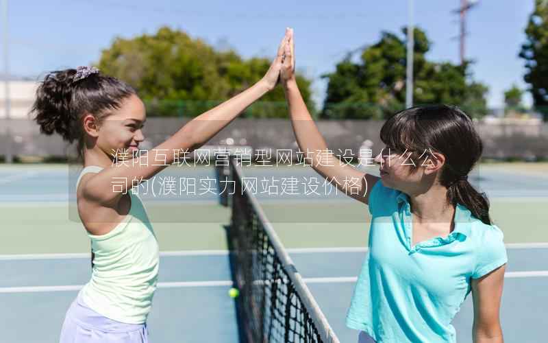 濮阳互联网营销型网站建设是什么公司的，濮阳实力网站建设价格