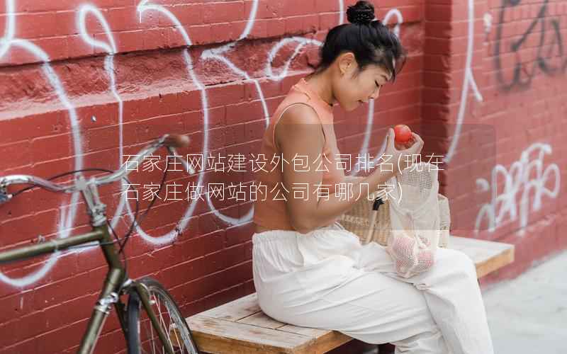 石家庄网站建设外包公司排名，现在石家庄做网站的公司有哪几家