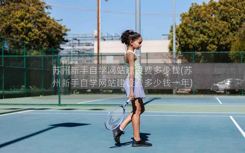 苏州新手自学网站建设费多少钱，苏州新手自学网站建设费多少钱一年
