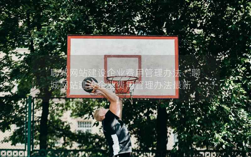 聊城网站建设企业费用管理办法、聊城网站建设企业费用管理办法最新