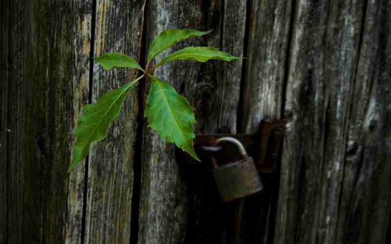 SEO中的更新算法如何适应